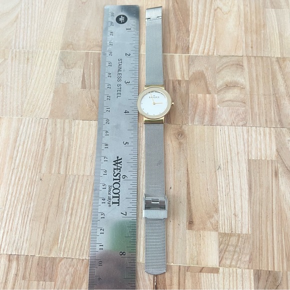 Skagen Denmark ladies two-tone metal mesh contemporary dress watch NEW BATTERY main image 4